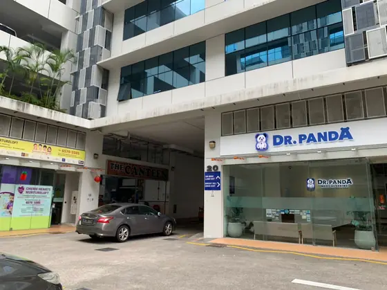 Photo: Dr Panda Medical Centre @ Sin Ming · Google Maps