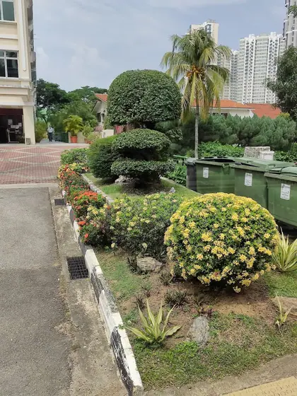 Photo: cse1217 · Google Maps