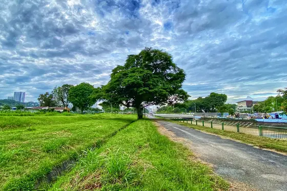 Photo: Steven San · Google Maps