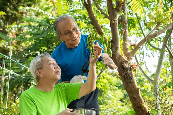Photo: NTUC Health Active Ageing Centre (Bukit Panjang) · Google Maps