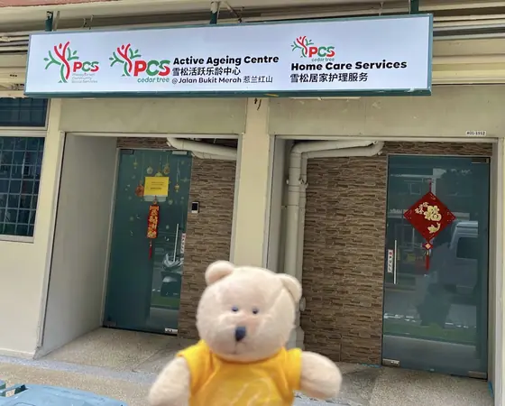 Photo: Yellow Bear · Google Maps