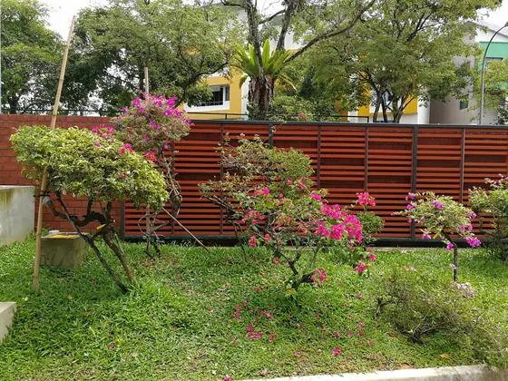 Photo: Mike Tan · Google Maps