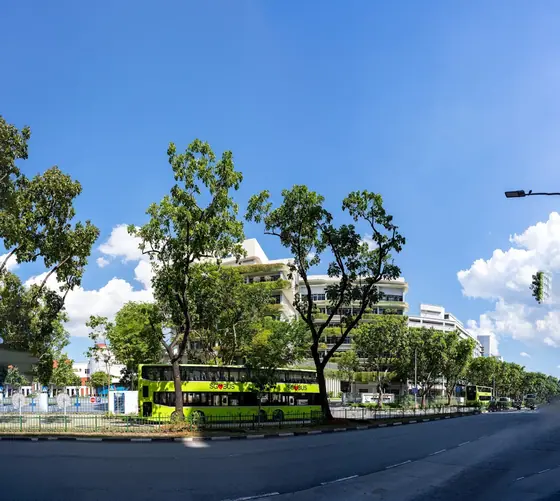 Photo: Marvin Alvarez · Google Maps